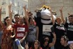 Spain\'s Catalonia region bans bullfighting