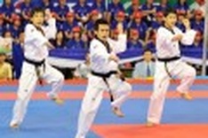 Vietnam ranks second at world taekwondo event