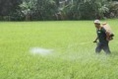 Experts review impact of intensive farming