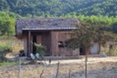 Rice intended for needy ends up with officials