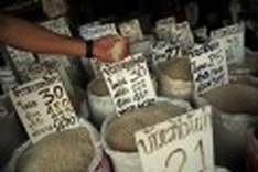 UN talks to focus on food prices, land-grabbing