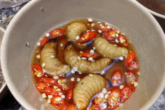 Specialities of the South West