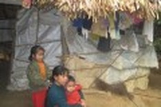 Rice misdistribution during Tet