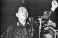 The grasshopper versus the elephant