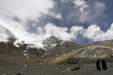 China's glaciers in meltdown mode: study