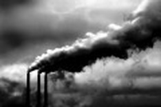 HCM City urged to lower carbon footprint