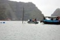 Halong incident may spell end for tour company