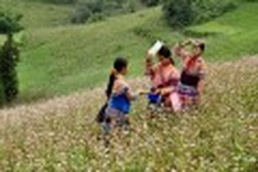 In photos: Blossoming northwestern Vietnam