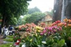 A plethora of flowers decorate Hanoi