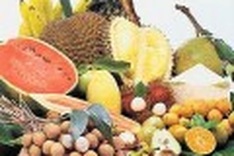 MOIT to speed up trade promotion in North America