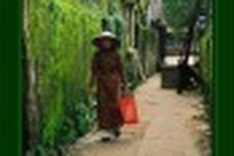 United Nations helps Hoi An turn into ecological city