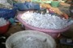 Recycling plastic from untreated medical waste