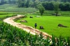 Beauty of Muong Vang
