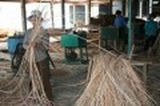 Rattan makers to attend WWF fair