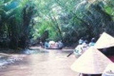 Travel agencies barred from offering international tours