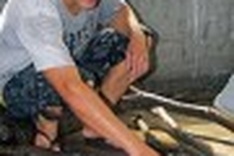 City rangers wipe out trade in wild animals