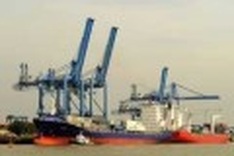 Vietnamese shipping firms struggle to compete
