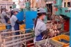 FDI rises again in July, reaching USD1 billion