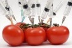 USDA: Farmers can plant genetically modified beets