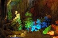 Experts eye ways to protect national park