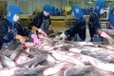 Seafood companies concerned about new regulations