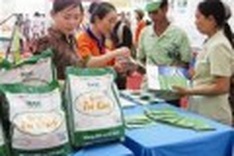Vietnam-made goods score well with expats
