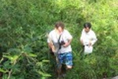 Protecting the animals of Jungle Beach