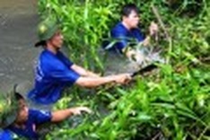 ADB: 3 nations to get additional $49 mln to fight tropical diseases
