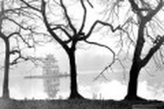 1,000 years of Hanoi through the eyes of international friends