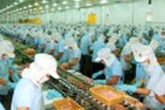 Seafood exports face low profits, high costs