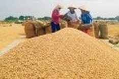 Soaring food prices threaten to push millions of Asians into poverty