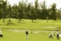 Ba Ria-Vung Tau clean up in national tourney