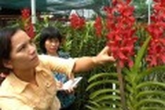 Relocation obstacles for uprooted farmers