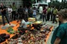 Forest rangers raid restaurants selling wildlife meat