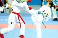 Vietnam wins karate championship