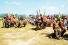 Elephant Sanctuary in Dak Lak Province