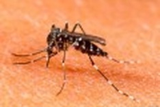 Climate change cause of outbreak of diseases: Ministry