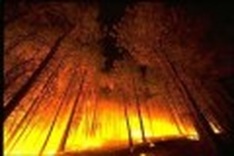 Provinces receive wildfire alert as drought takes hold
