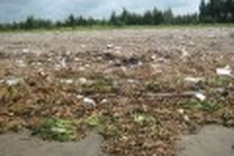 Polluted northern beach reaches crisis point