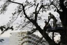 Typhoon kills 6 in Japan, Fukushima nuclear plant not affected