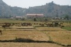 Central Highlands facing a severe drought