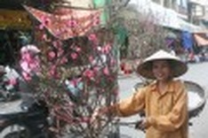 Tet spirit alive and visible on Hanoi's streets