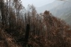 Protecting Hoang Lien National Park