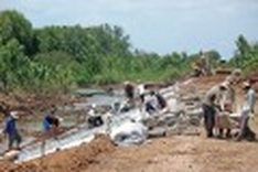 Brakish water spells bad news for Delta