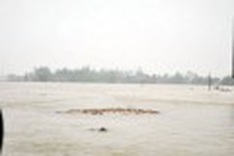 20 missing after bus swept away during flood in central Vietnam