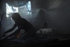 'Promising' step for world's first malaria vaccine