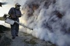 Malaysia criticises WHO over dengue battle