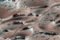 Nasa photographs 'trees' on Mars