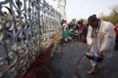 Thai protesters hurl own blood at PM's house