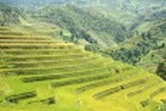 Autumn in Mu Cang Chai